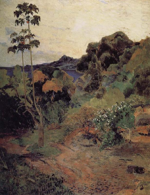 Paul Gauguin Martinique tropical plants china oil painting image